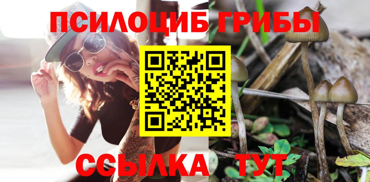 Каменск-Шахтинский  Галлюциногенные грибы мухоморы  как найти закладки  Псилоцибиновые грибы Magic Shrooms  Вход с VPN 