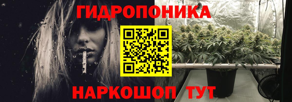 Каменск-Шахтинский  Бошки марихуана планчик  Канабис конопля  Шишки марихуана OG Kush  Конопля White Widow  Вход с VPN 